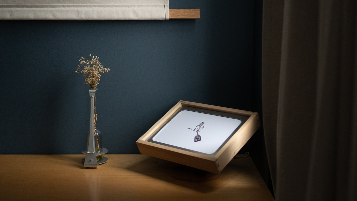 Framed Display Case