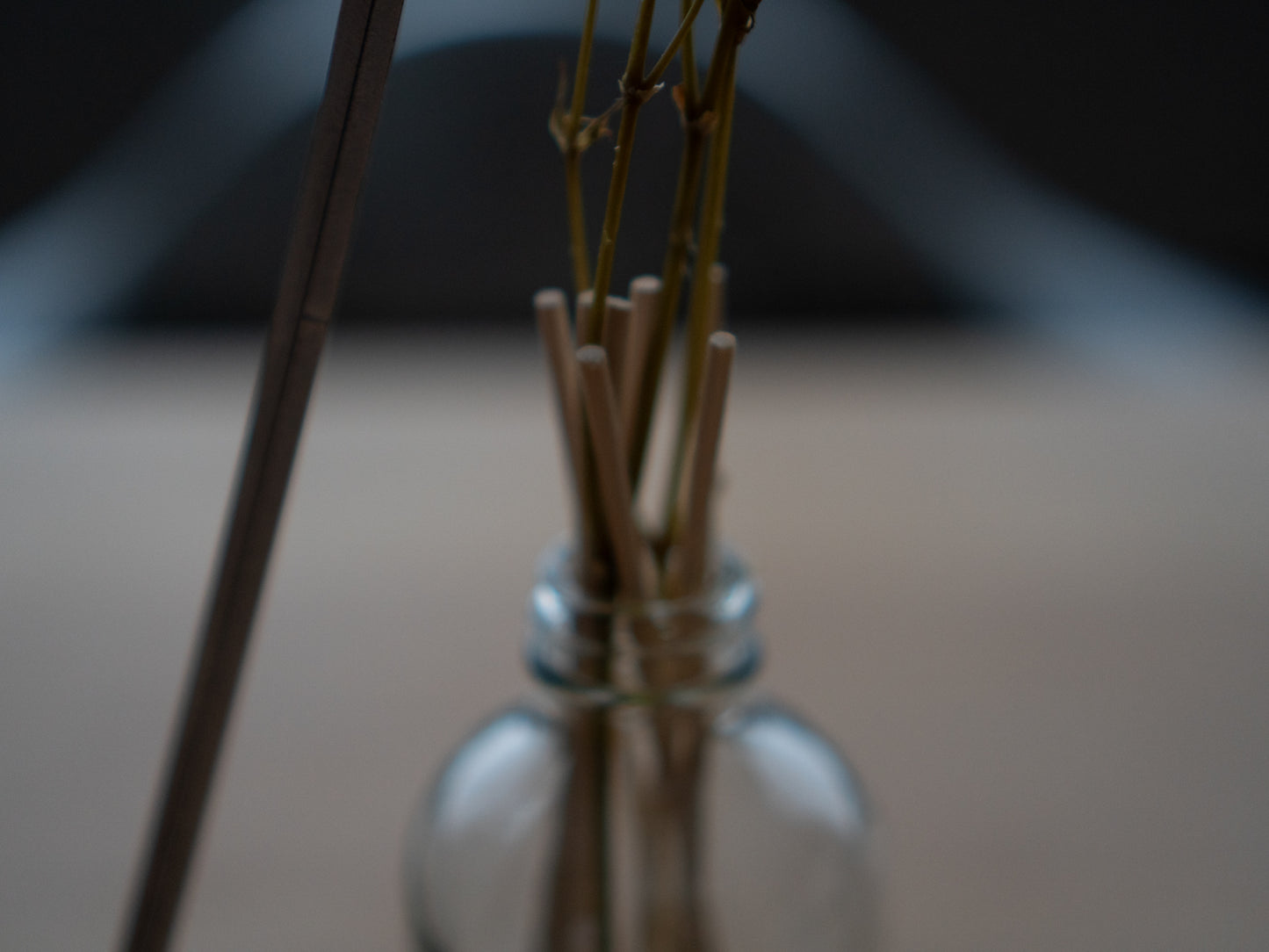 Phone Stand & Vase For Dried Flowers