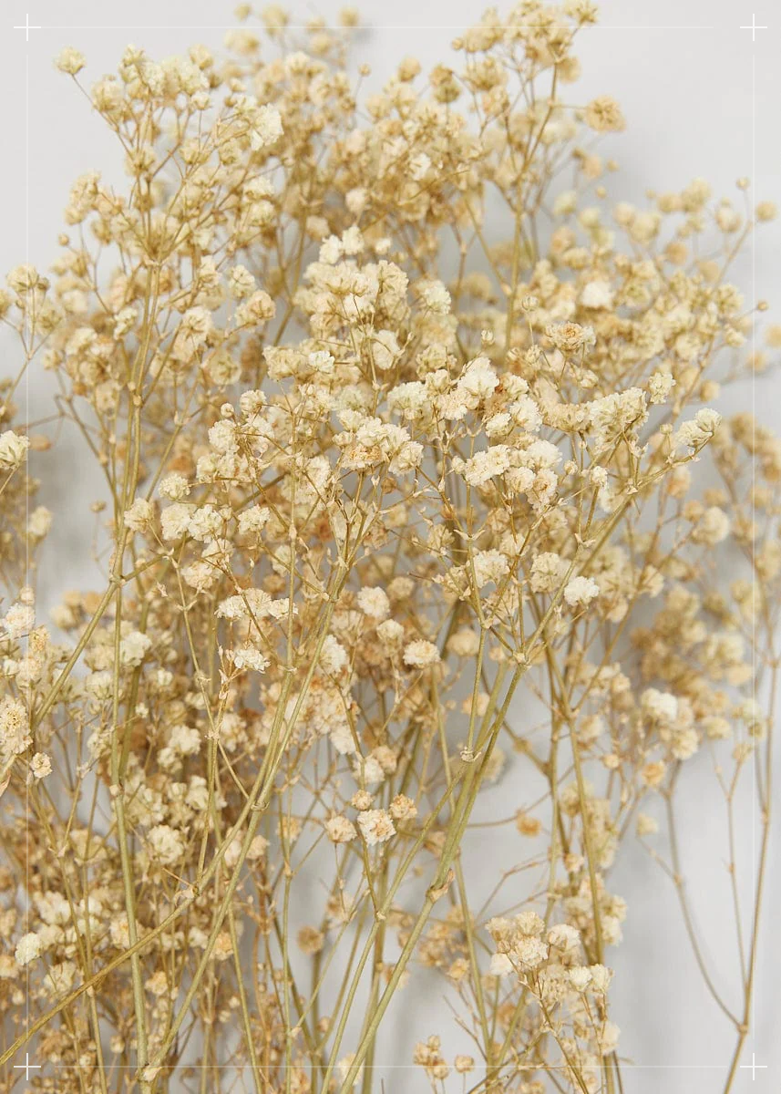 Wall-Mounted Dried Flower Vase & Reed Diffuser