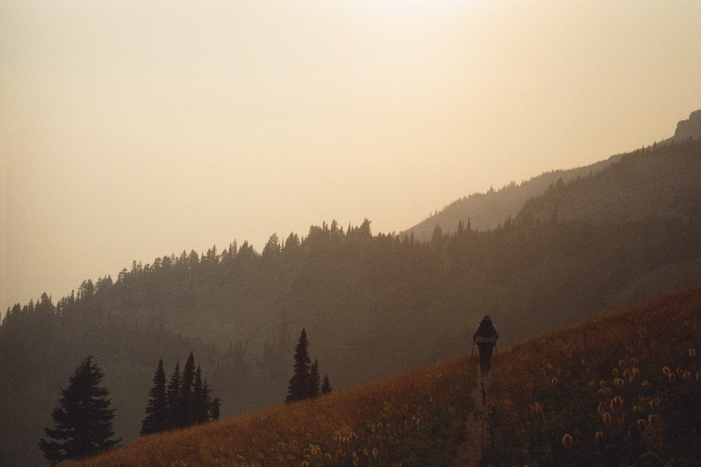 13 Prints, 40 Miles Solo Hiking in Goat Rocks Wilderness