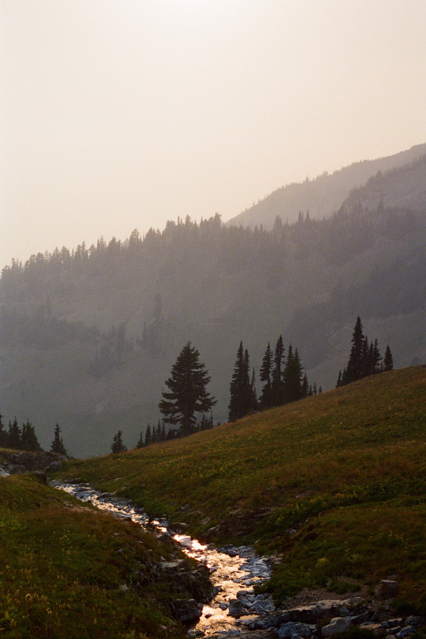 13 Prints, 40 Miles Solo Hiking in Goat Rocks Wilderness