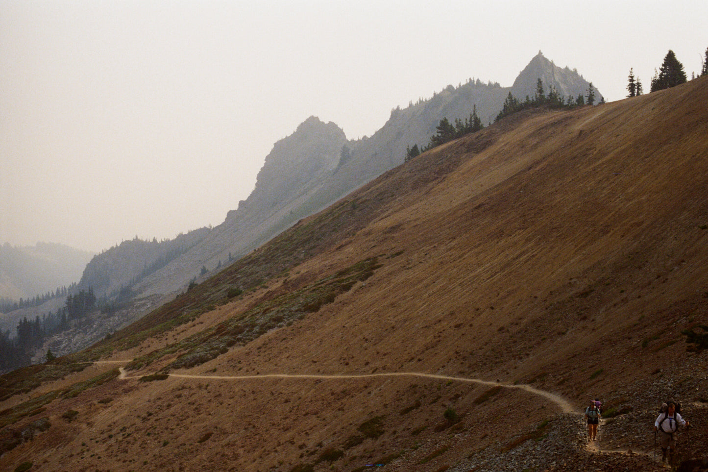13 Prints, 40 Miles Solo Hiking in Goat Rocks Wilderness