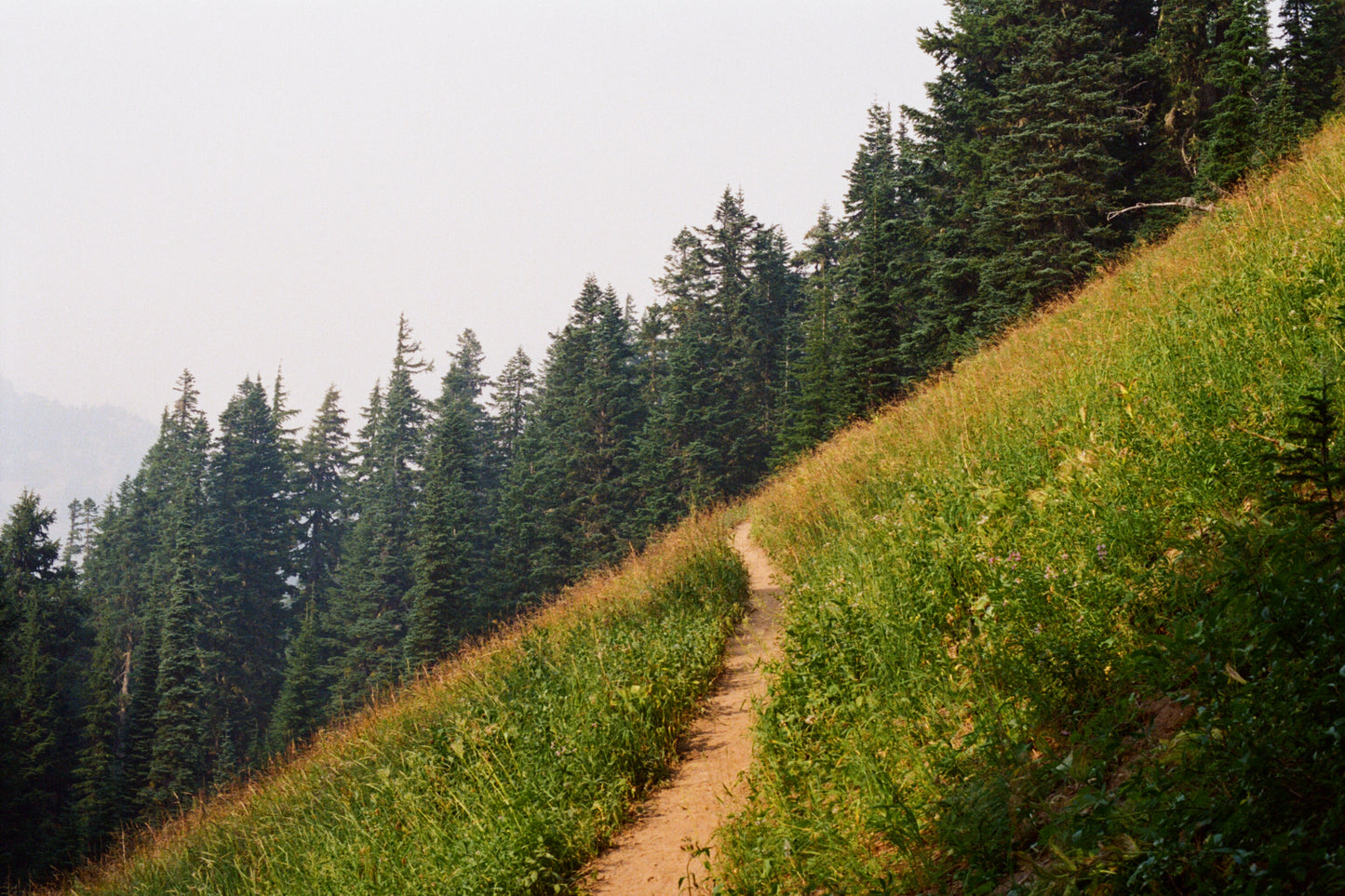 13 Prints, 40 Miles Solo Hiking in Goat Rocks Wilderness