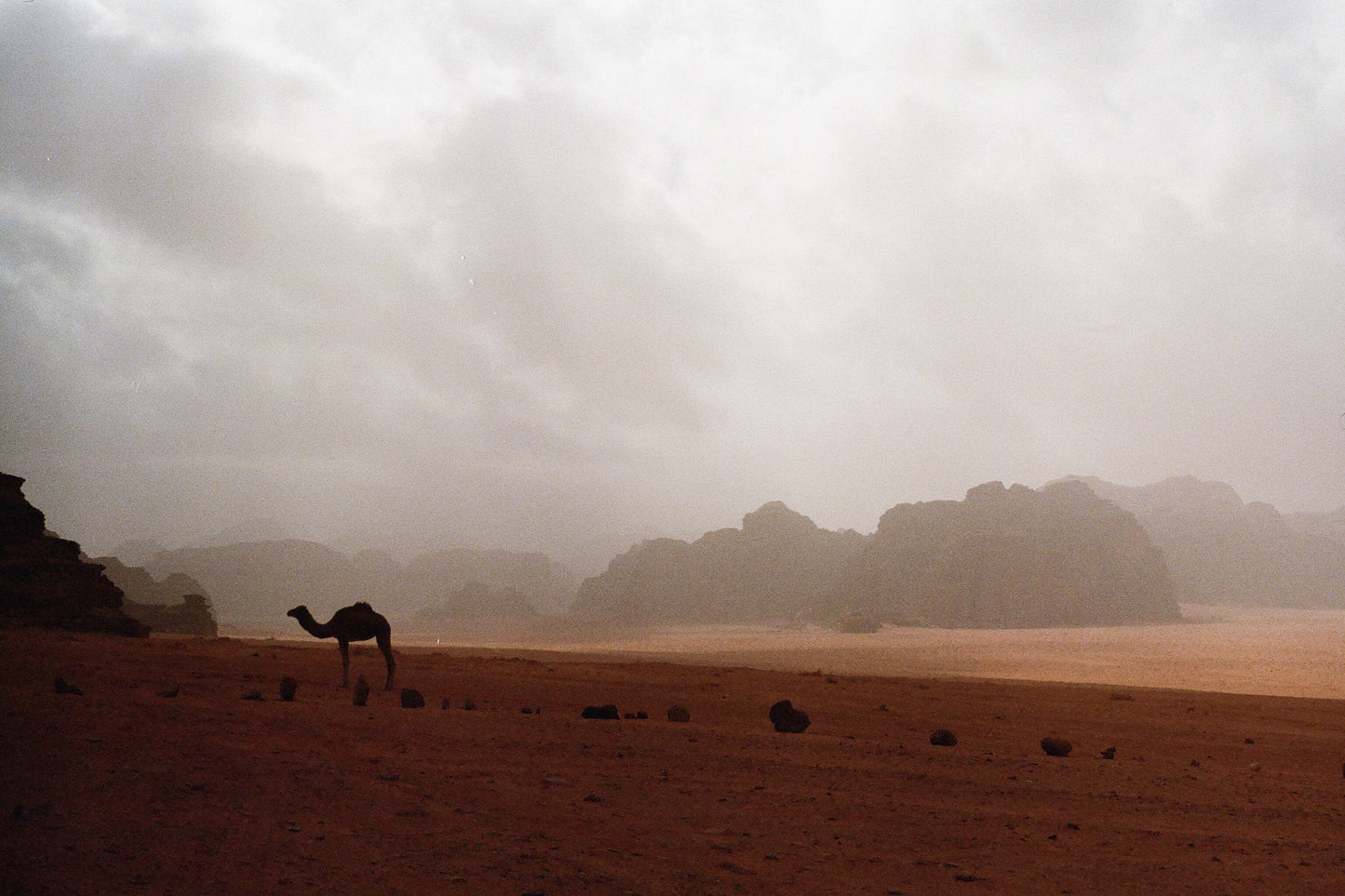 22 Prints, Winter in the Wadi-Rum Desert
