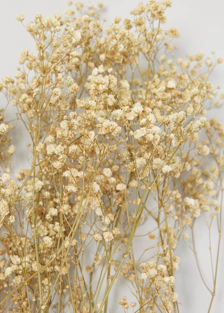 Wall Mounted Dried Flower Vase & Reed Diffuser with Shelf + Key Holder